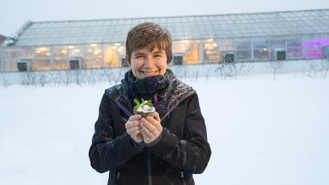 Rebecca Roston, assistant professor of biochemistry, holds a pea plant outside the Beadle Hall greenhouses. Roston, who recently earned a National Science Foundation CAREER award, is studying how more than 30 species of plants respond to freezing. (Photo by Craig Chandler)