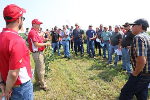 2018 Soybean Management Field Day at Cedar Bluffs site