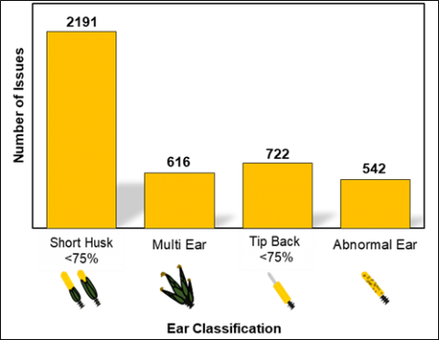 Bar graph showing distribution of various ear abnormalities within the tested group.