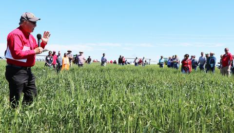 Stephen Baenziger speaking to growers at one of the Winter Wheat Variety Trial field days.