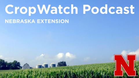 Cover image for the Nebraska CropWatch podcast