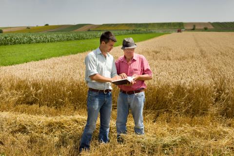 A mediator reviewing information with a farmer in the field