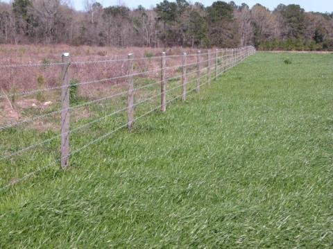 Pasture fencing