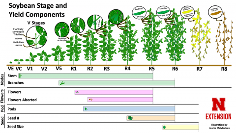 2019 Crop Reports | CropWatch