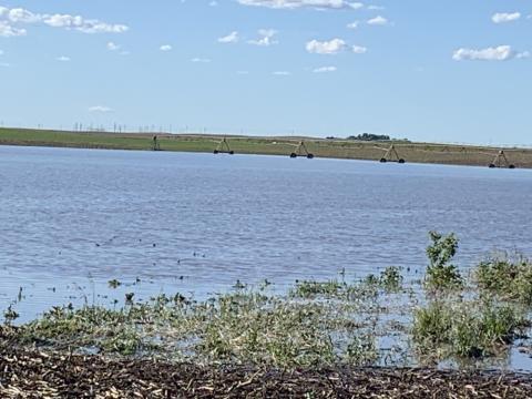 flooded field after rain in central Nebraska