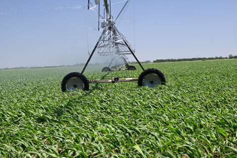 Center pivot irrigation system watering a field