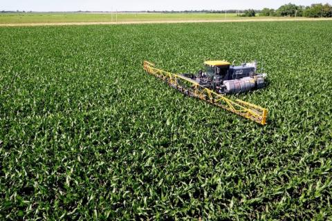 nitrogen application to corn field