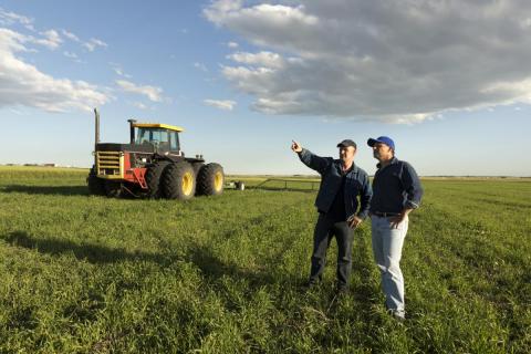 two farm employees discuss plans in a field