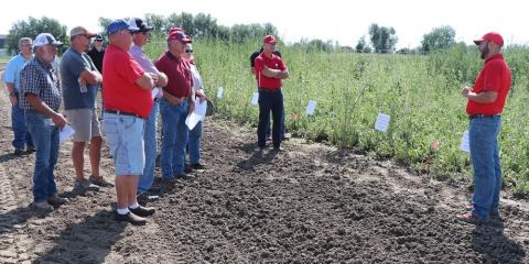 Integrated Weed Management Specialist Nevin Lawrence speaks in front of a weed control plot