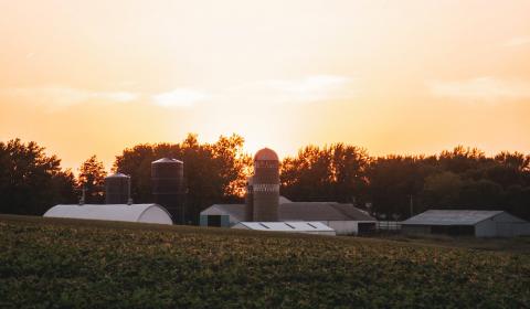farm setting at sundown