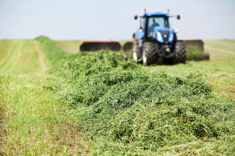 Cutting hay in field