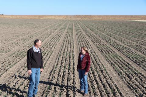 Extension educators view winter wheat plots