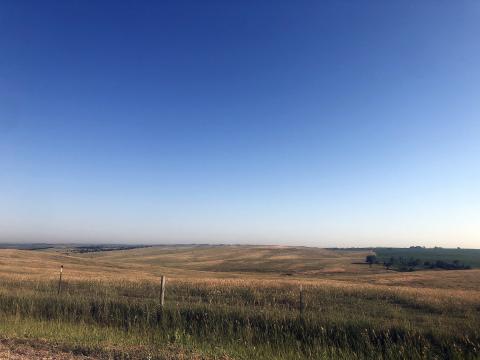 Pasture in Nebraska