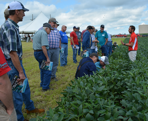 Soybean Management Field Day field demo