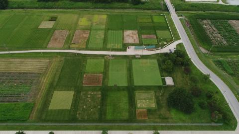 Turfgrass farm in aerial display