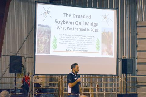 Soybean Gall Midge presentation