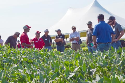 Soybean Management Field Day field demo