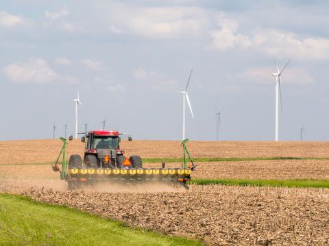 Corn field and wind farm