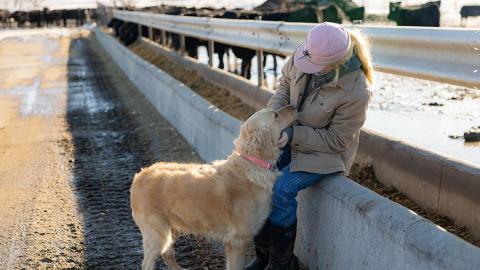 Producer with dog on farm