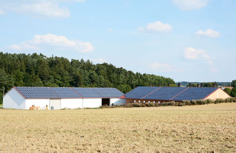 Solar panels on barns