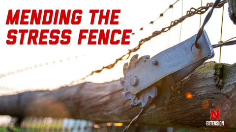 Fence and barbed wire