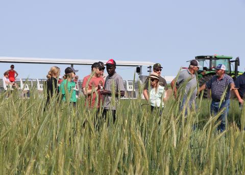 Wheat plot tour participants in field
