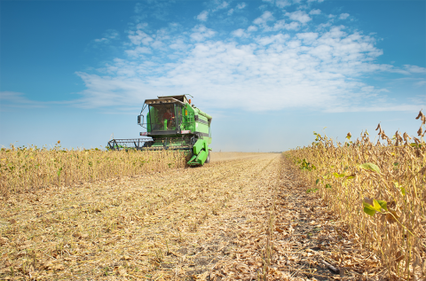 Harvester in soybean field