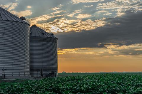 Grain silos on farm at dusk
