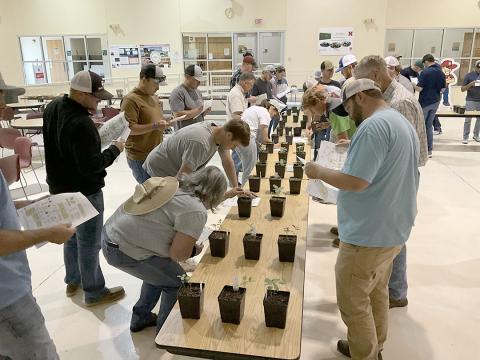 Men and women stand around tables looking at container plants