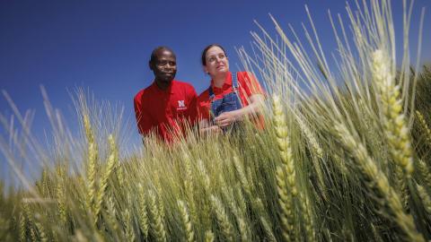 Man and woman stand in wheat field