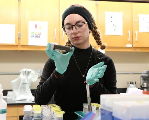 Woman examines specimen tube in laboratory
