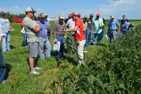 Men and women look at soybean plant near field