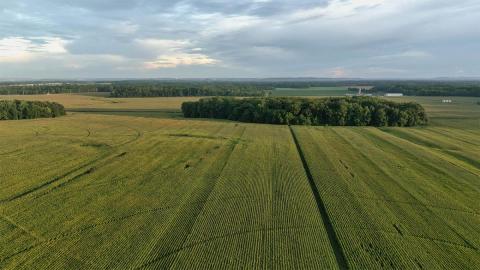 Aerial view of farmland