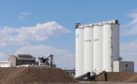 Beet piles near production facility structures