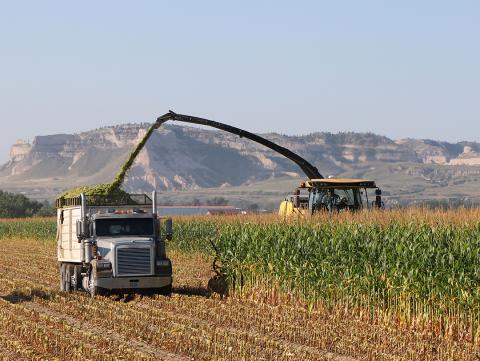 Combine harvests corn field as grain truck follows