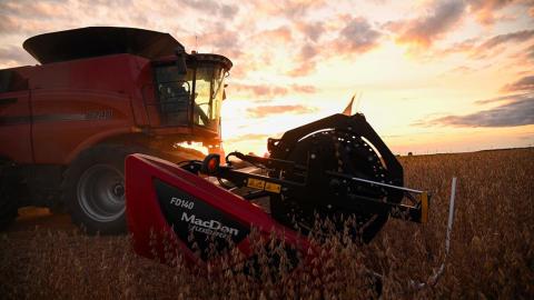 Combine harvesting soybean