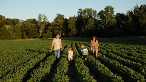 Man and woman walk with children in field