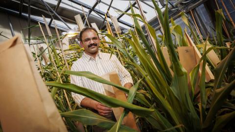 Man stands in lab near plants