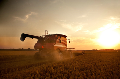 Combine during harvest