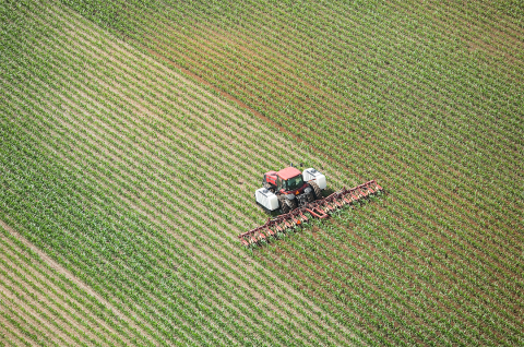 Tractor applying nitrogen fertilizer to corn field