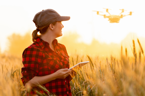 Woman operating drone in wheat field