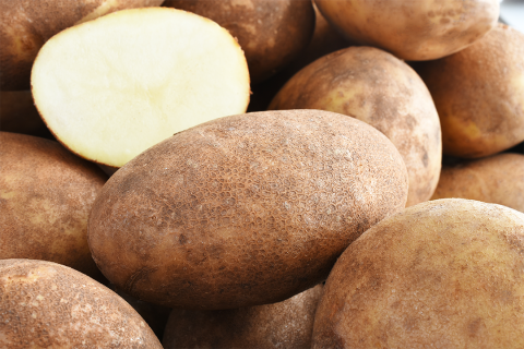 Russet potatoes in a pile