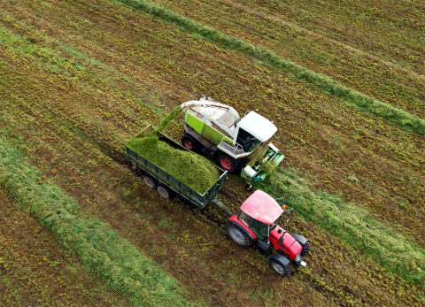 Tractor and grain truck harvesting silage