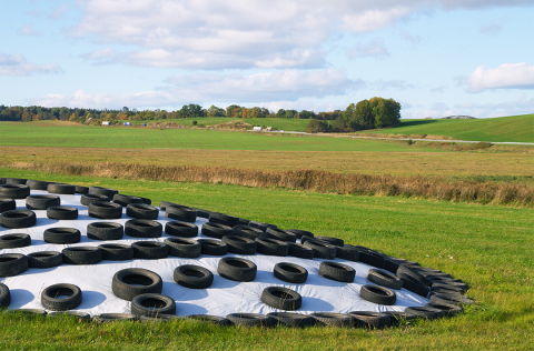 Silage pit on farm covered with tires