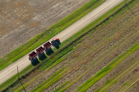 Tractor pulling grain carts down road