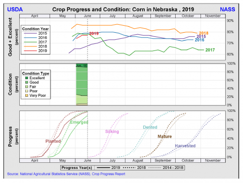 Crop progress and conditions for corn from the USDA National Agricultural Statistics Service indicating predicted timing for corn growth stages (2019).