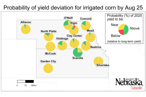 graph showing probability of yield deviation for irrigated corn