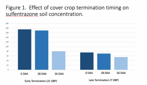 Cover crop termination timing chart