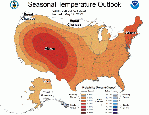 Seasonal temperature outlook