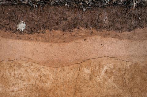 Soil layers